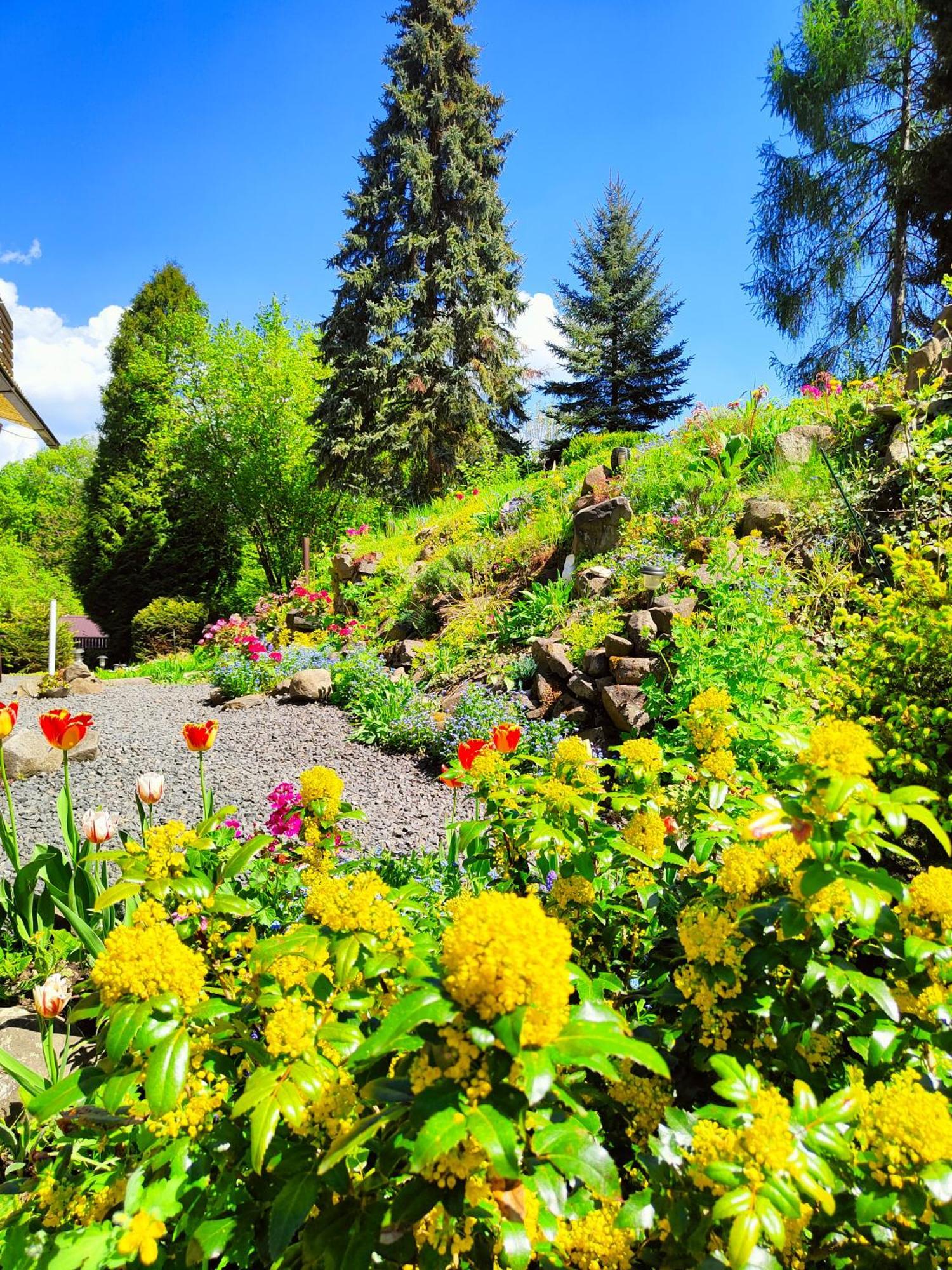 Bed And Breakfast Tvrz Velká Bukovina Eksteriør billede