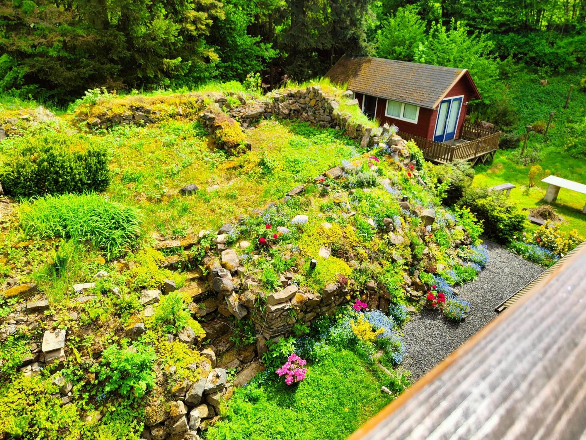 Bed And Breakfast Tvrz Velká Bukovina Eksteriør billede