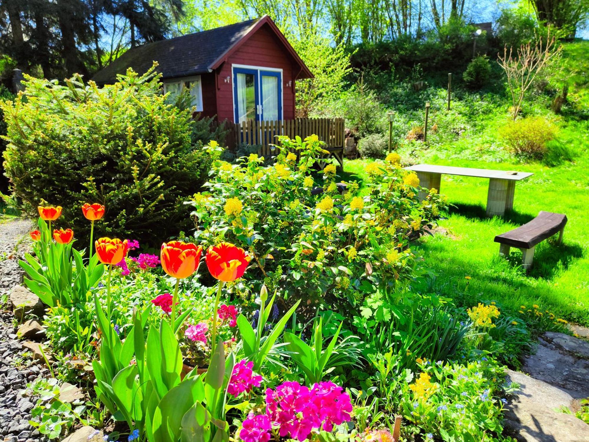 Bed And Breakfast Tvrz Velká Bukovina Eksteriør billede
